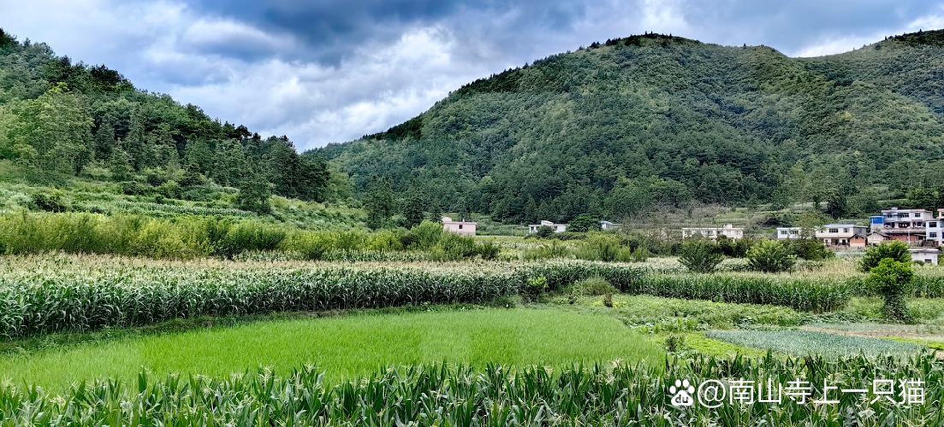 贵阳乡土